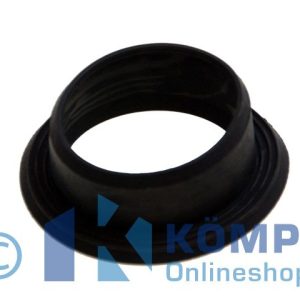 Oase Ablaufdichtung für Biotec 5.1 / 10.1 SH60 (26209)