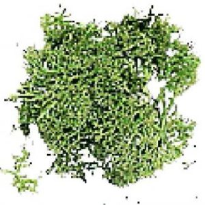 BOLSA /Green Moss Bag 20 gr.
