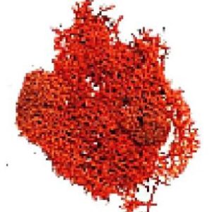 BOLSA /Red Moss Bag 20 gr.