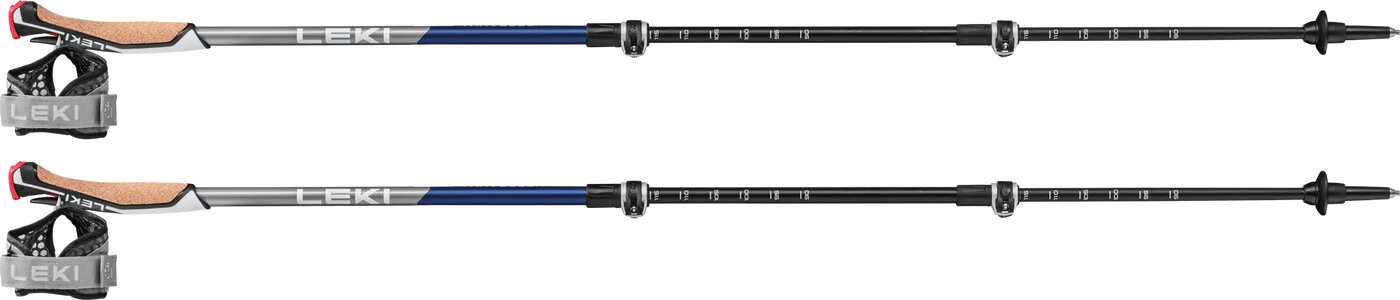 Walking Stock Traveller Carbon