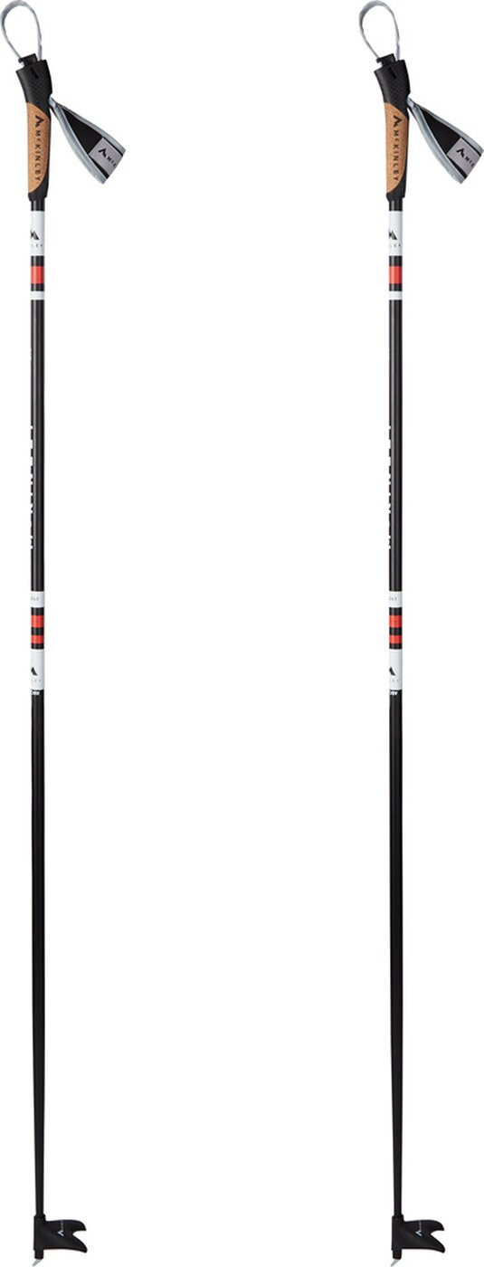 Ux.-LL-Skistock ACTIVE ALU 2.0