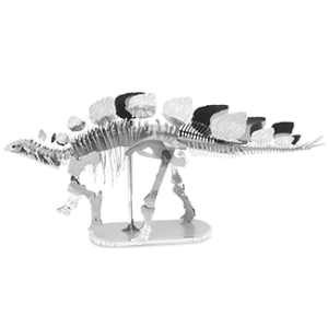 Stegosaurus Skelet