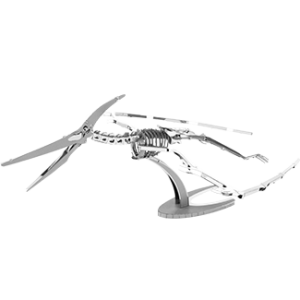 Pteranodon Skelet