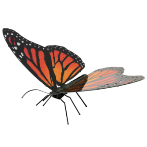 Monarch