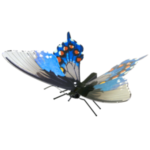 Pipevine Swallowtail