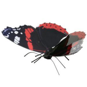 Red Admiral