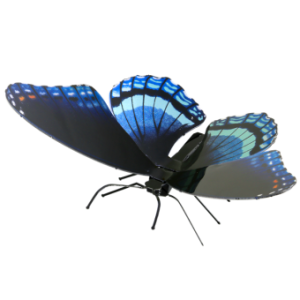 Red Spotted Purple