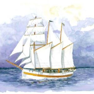 Vega Segelschiff 1/35