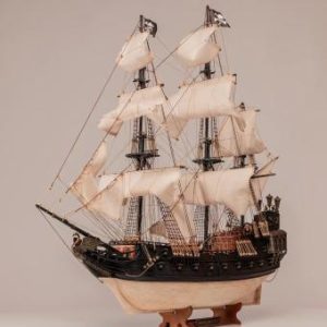 Black Swan 1/75
