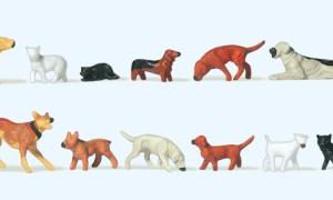 Hunde und Katzen