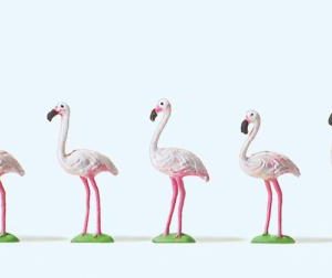 Flamingos