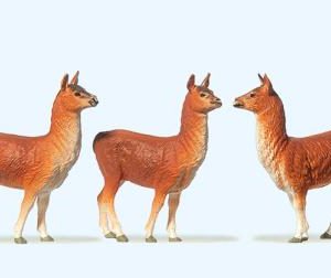Lamas