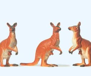 Känguruhs