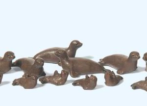 Seehunde