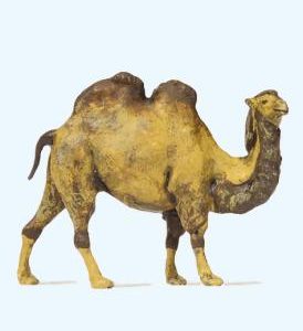 Kamel