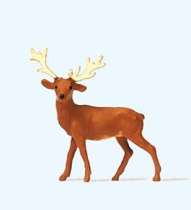 Hirsch