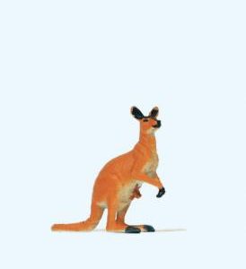 Känguruh