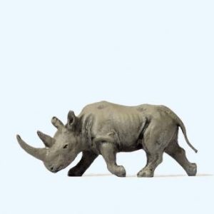 Afrikanisches Nashorn