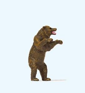 Braunbär