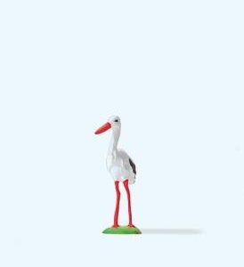 Storch