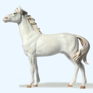 Pferd stehend