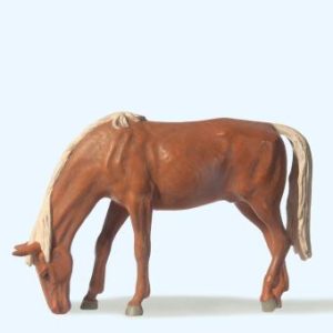Pferd weidend