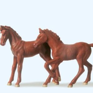 2 Fohlen stehend und springen