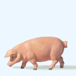 Schwein gehend