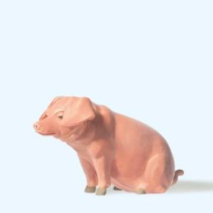 Schwein sitzend