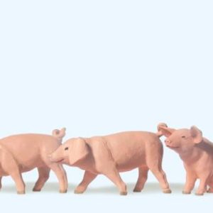 3 Ferkel