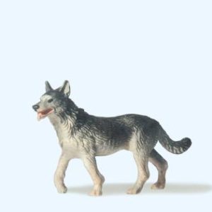 Schäferhund