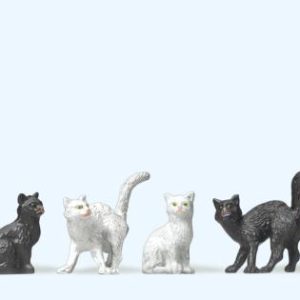 4 Katzen
