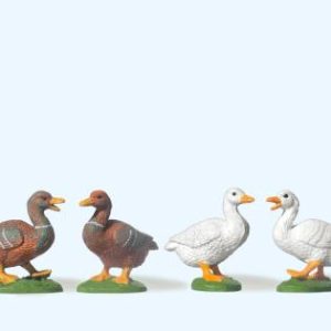 4 Enten