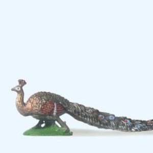 Pfau mit Schleppe