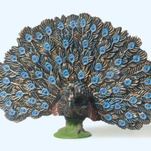 Pfau radschlagend