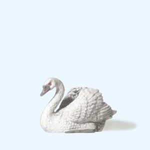 Schwan