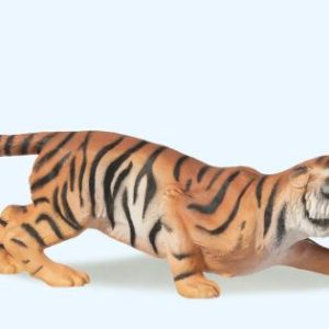 Tiger angreifend