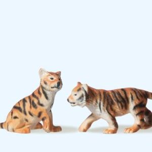 2 junge Tiger