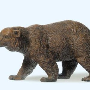 Braunbär gehend