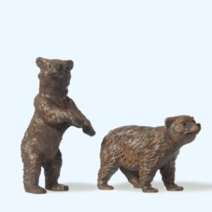 2 junge Braunbären