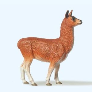 Lama