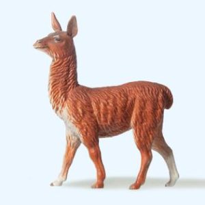 Lama jung