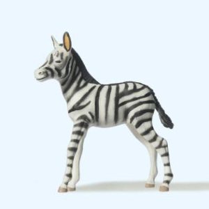 Zebrafohlen