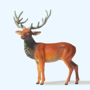Hirsch stehend