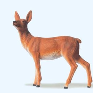 Hirschkuh