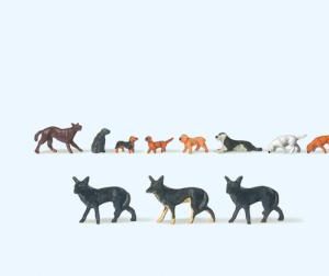 Hunde