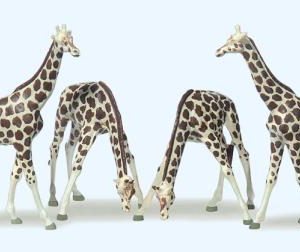 Giraffen