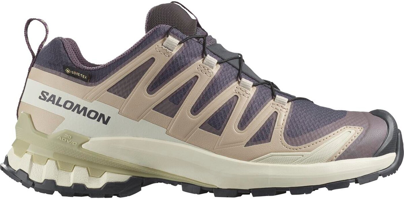 Damen Trailrunningschuh XA PRO 3D V9 Gore-Tex